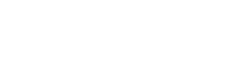 The Play Priest